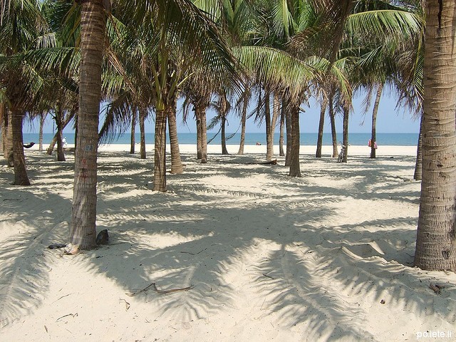 Пальмы на пляже в Хои Ане во Вьетнаме