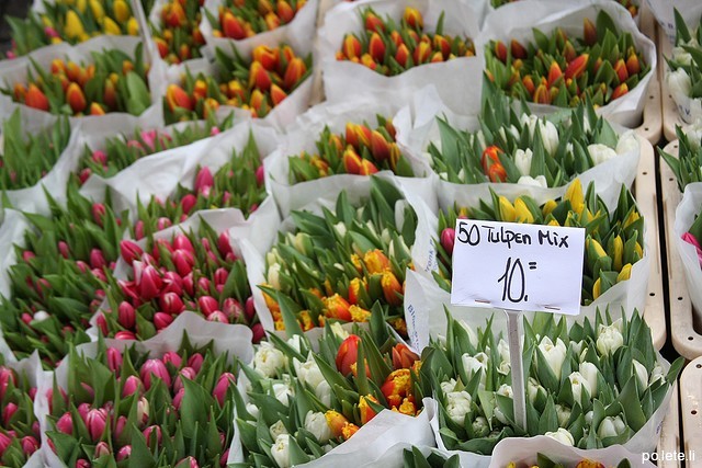 Прилавок с тюльпанами в Амстердаме